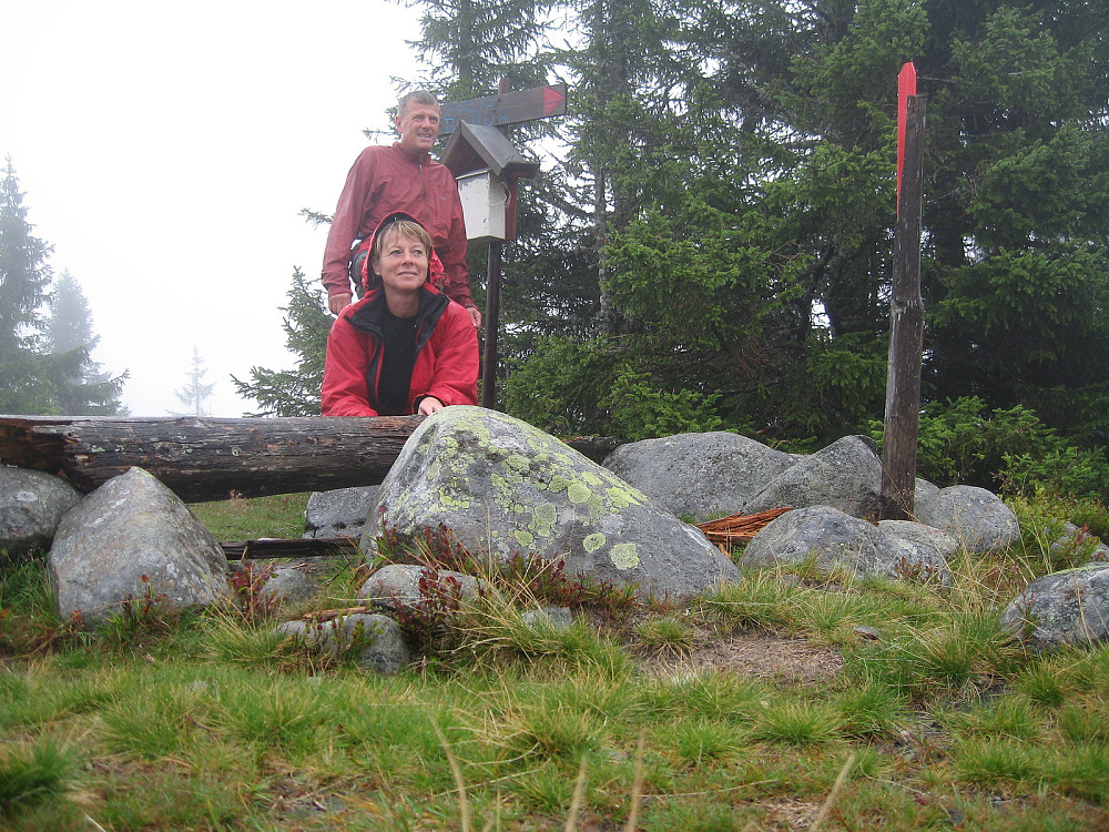 Gitvola