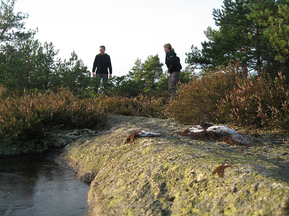 Bankerødkollen
