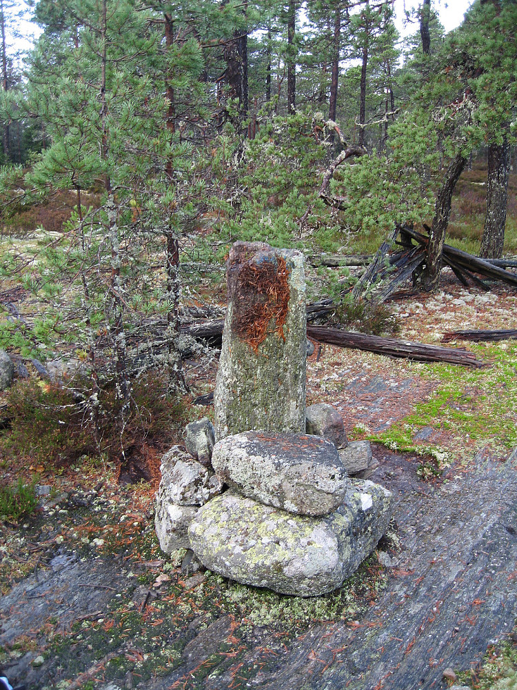 Høgestang