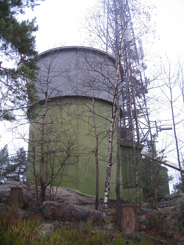 Tårnåsen