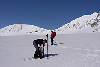 otto_l1001517.jpg