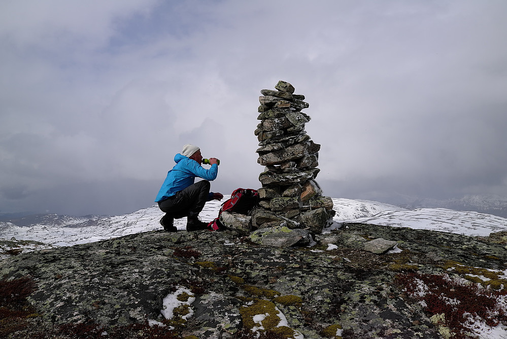 Gråvær på Grønfjellet