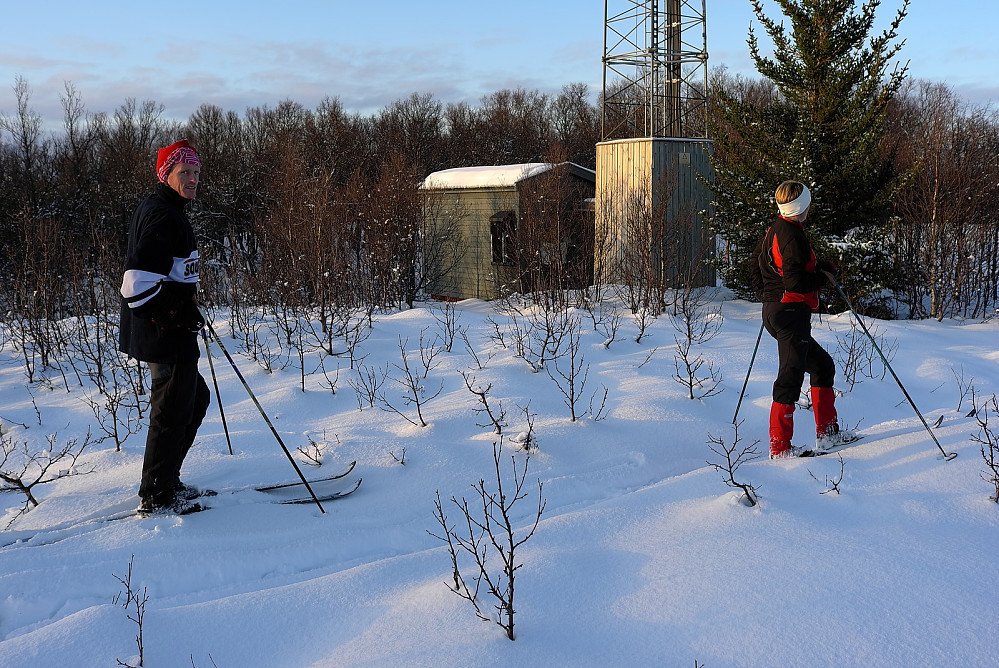 Skjellstanghaugen