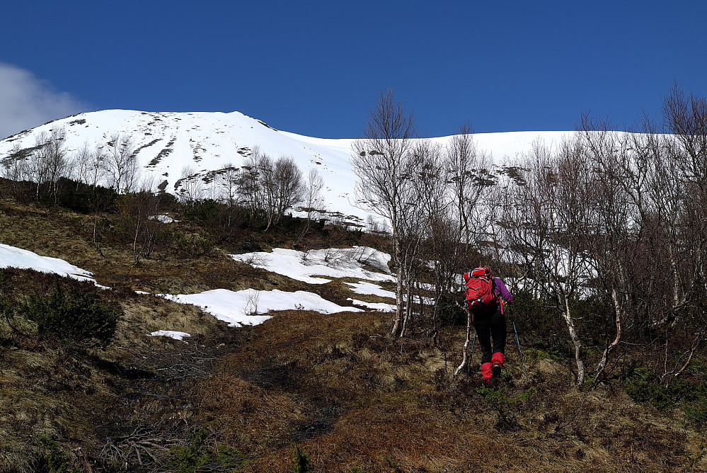 Bløtt opp til snaufjellet