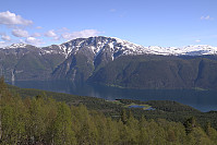otto_l1052501.jpg