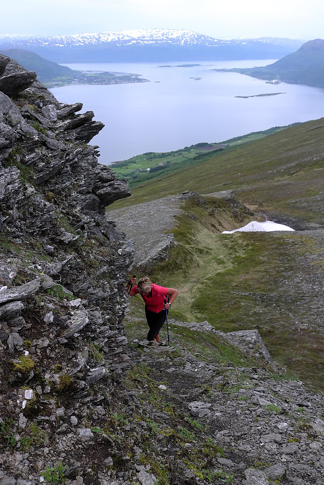 Nesnafjorden