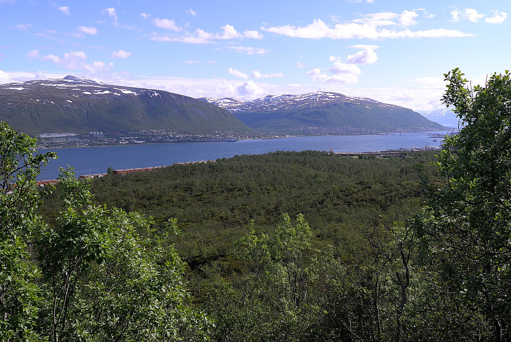 Varden