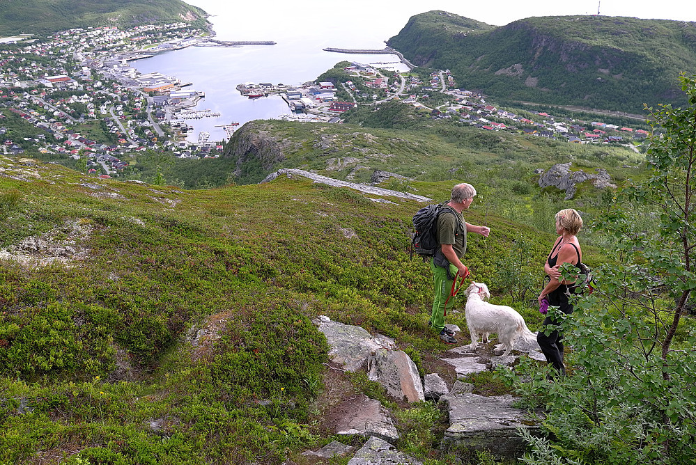 Mot Skjervøy