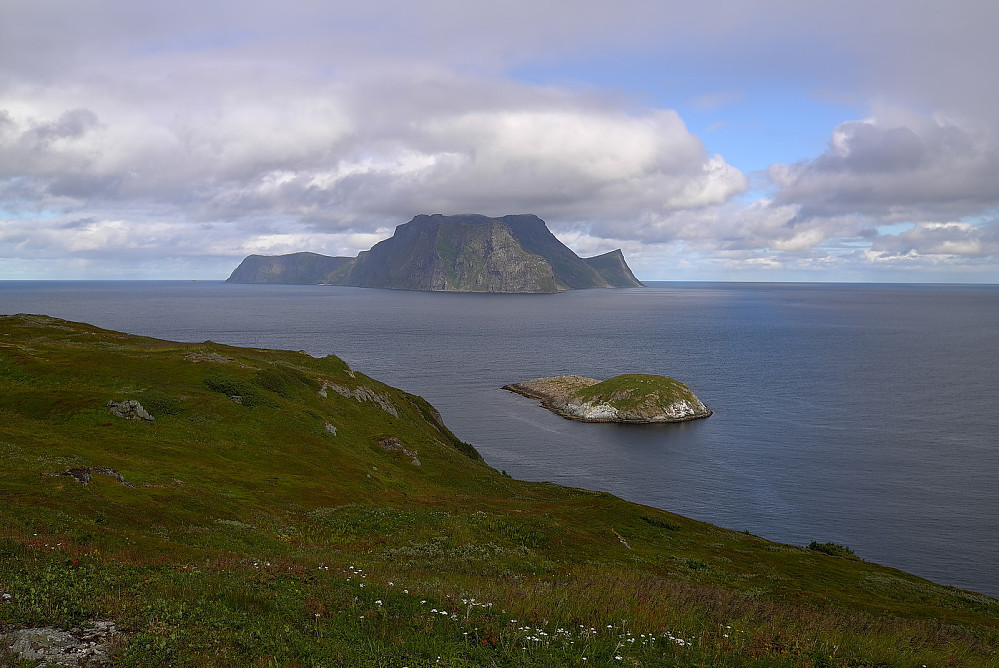 Nordfugløya