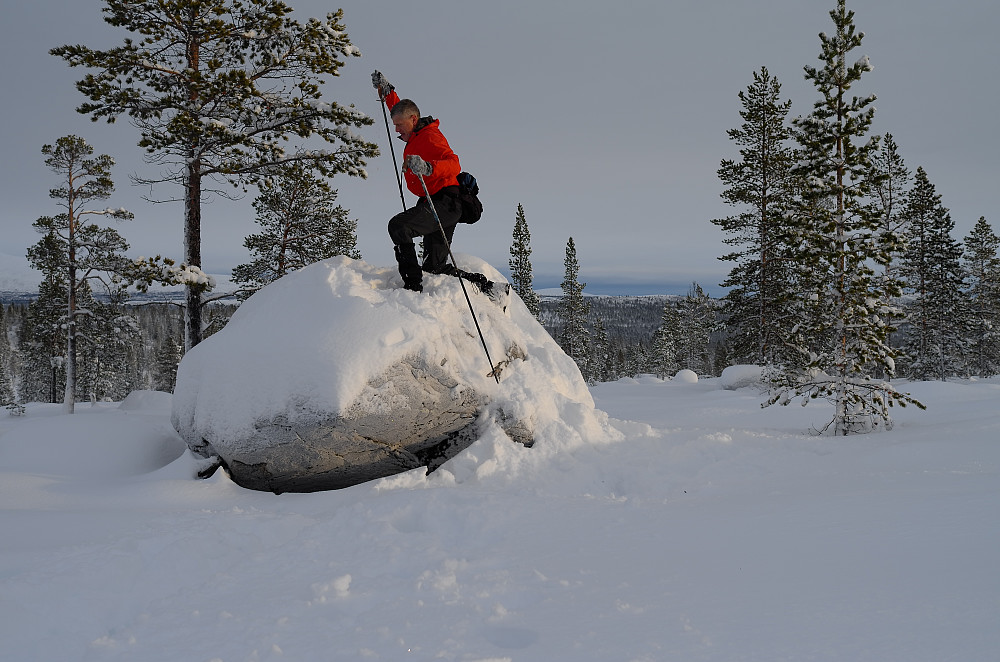Femundsåsen