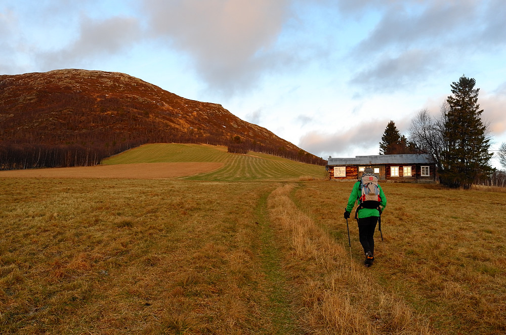 Over høstgule jorder i november 