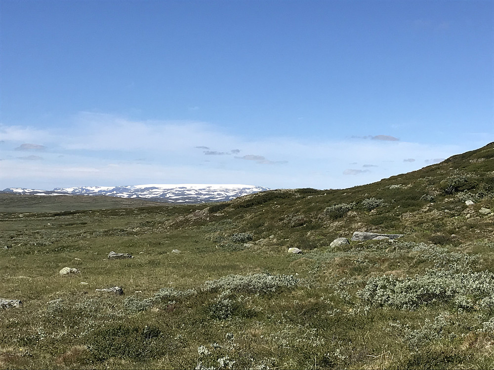 Skarven i bakgrunn.