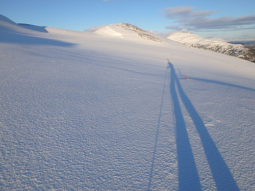 Det ble lange skygger i dag. Uvant å ha sol på tur. Vi har ikke hatt mye av det i det siste.