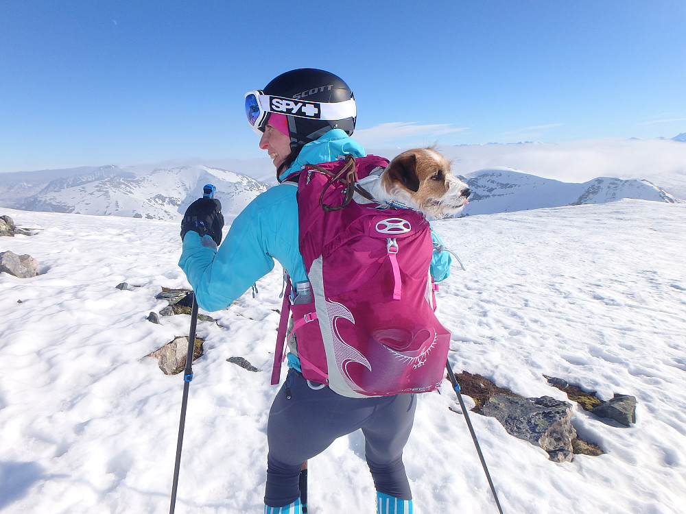 Her var det ei dame som hadde for liten hund. Kjører bæremeis prinsippet isteden for å vente på bikkja i nedoverkjøringen.