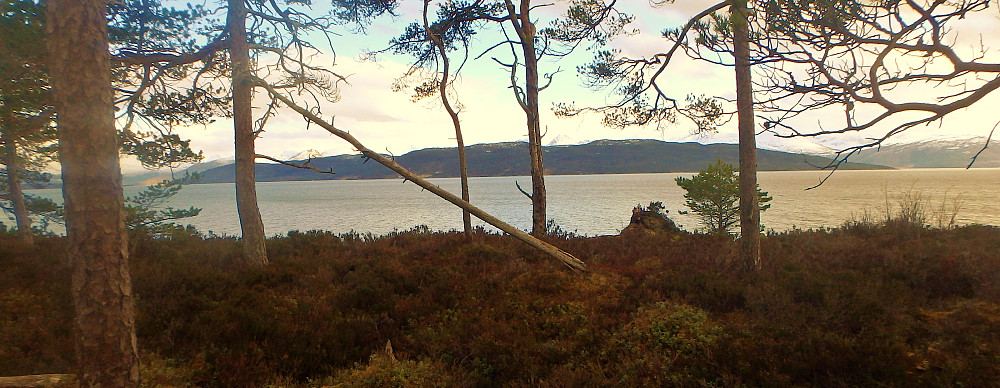 Fårøytangen og utsikt mot sør.