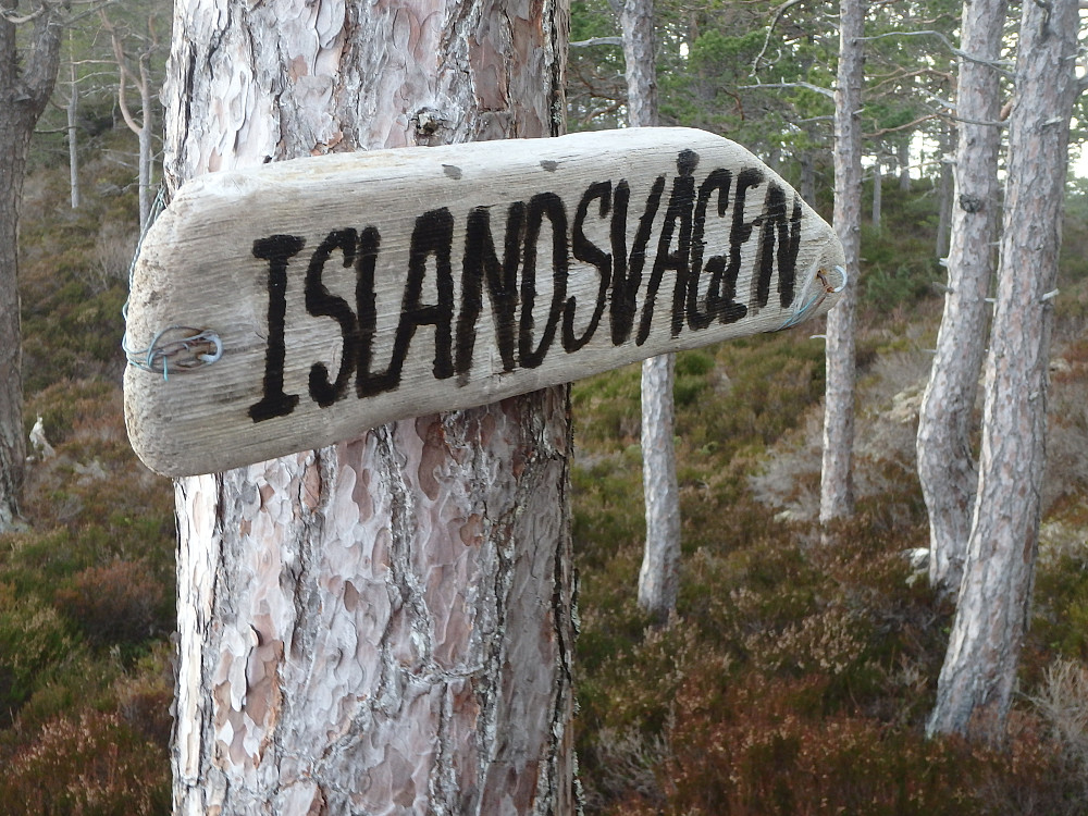 Har du sett dette skiltet, ja da er du på Færøytangen.