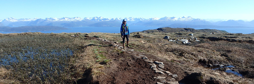 Oui med Molde panoramaet i bakgrunnen. Kan ikke bli bedre utsikt enn dette.
