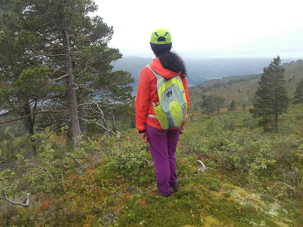Sikta fra 600m og nedover var grei.