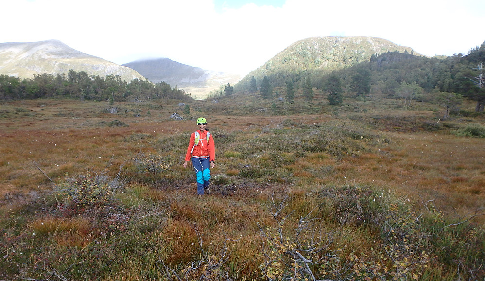 Oui nede på myra med Tverrfjellet i bakgrunnen.