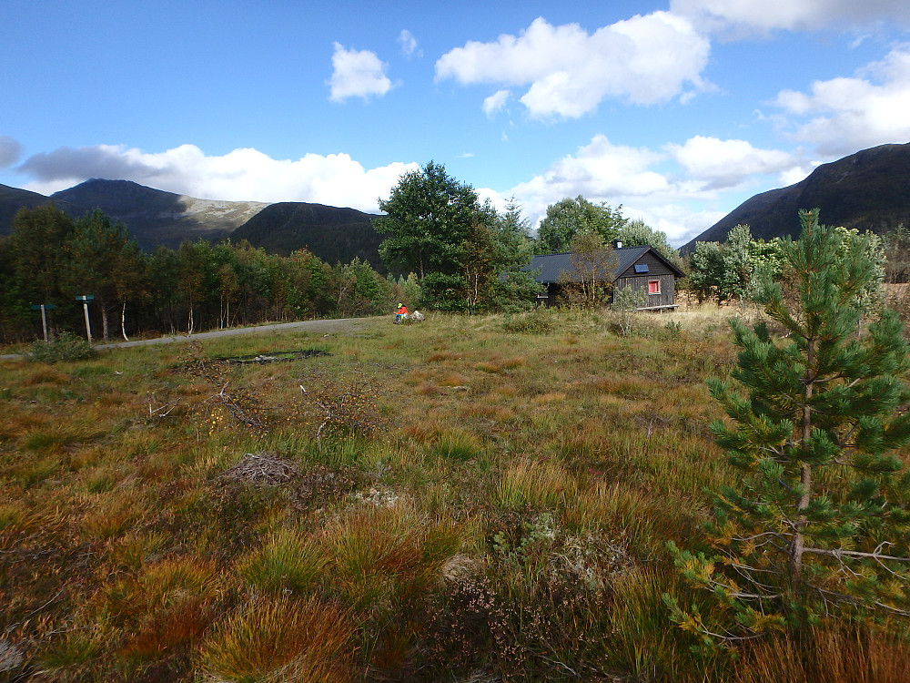 Oui gadd ikke bli med meg på Bermyrhaugen. Hun ble satt igjen i krysset..