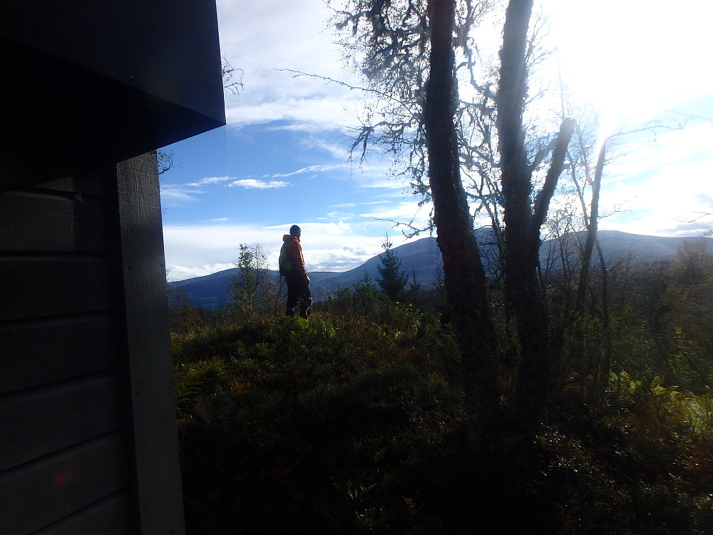 Bollhaugen,