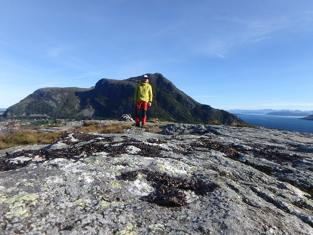 Ørnekula