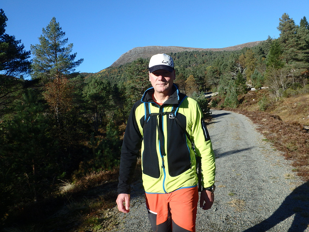 Skogsbilvegen nedenfor Reitaåsen.