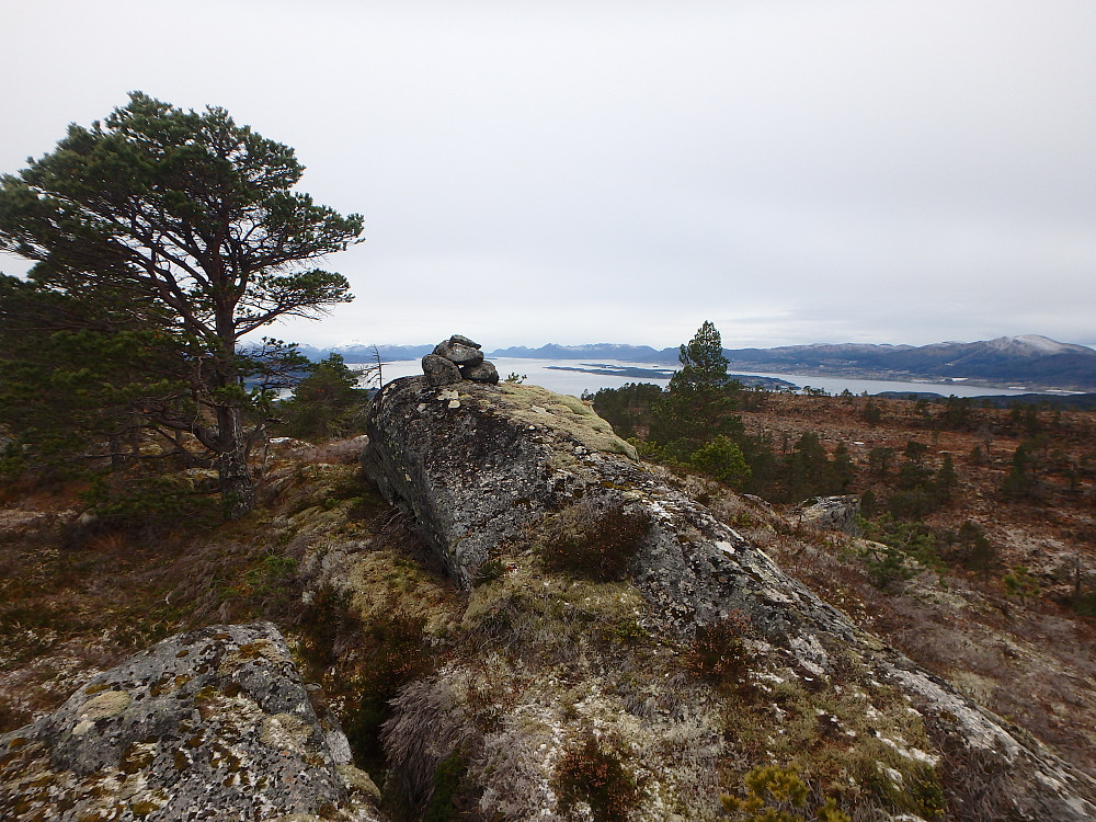 Flovikseterhaugen.
