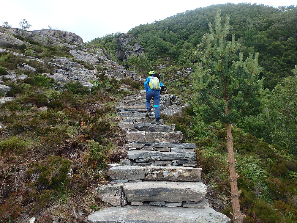 Sånn ser starten ut nå til Rørsethornet.