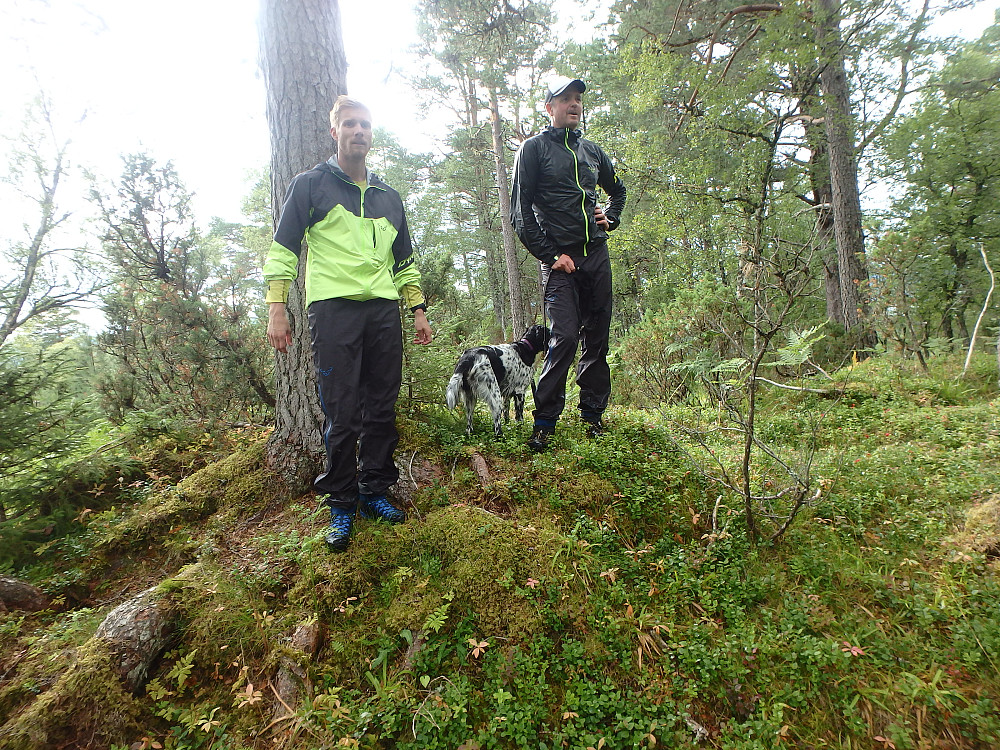Høgåsen er nådd.