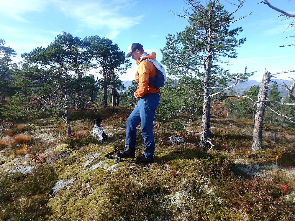 Åfløyfjellet.