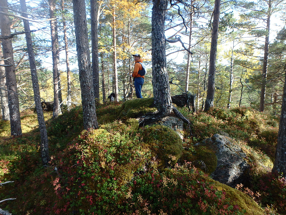 Svarttjønna vest, dagens siste topp.