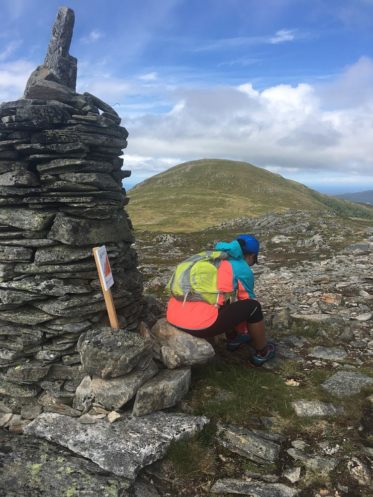 Nonsfjellet med Valtua i bakgrunnen.
