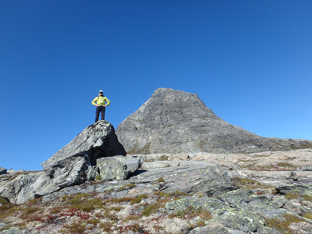 Kongen på haugen...