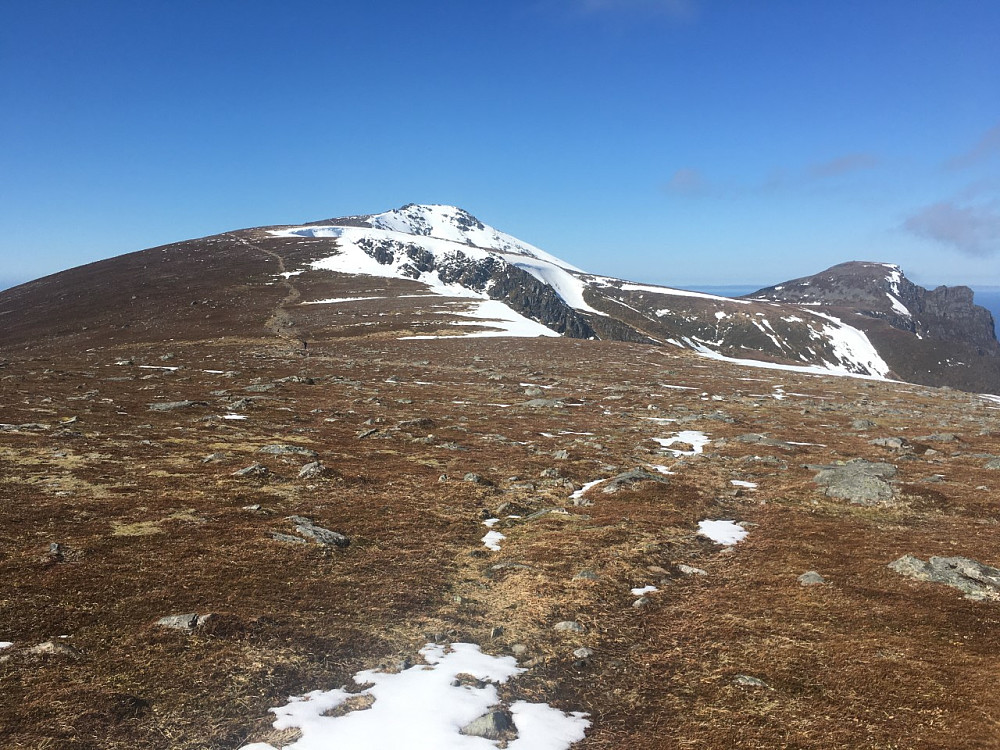 Sjurvarden