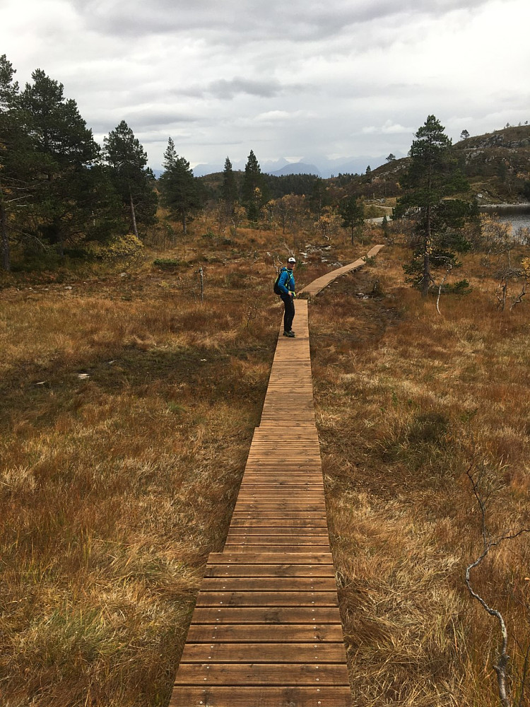 Langkloppen..