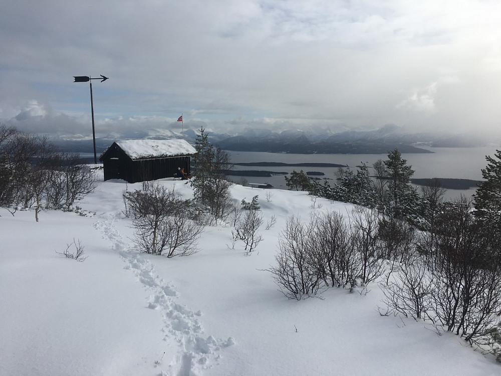 Nysnø.