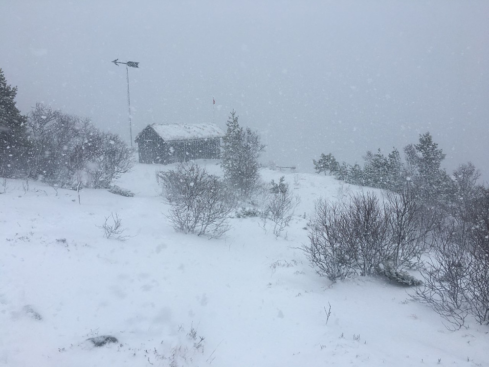 Skikkelig snøvær i dag.