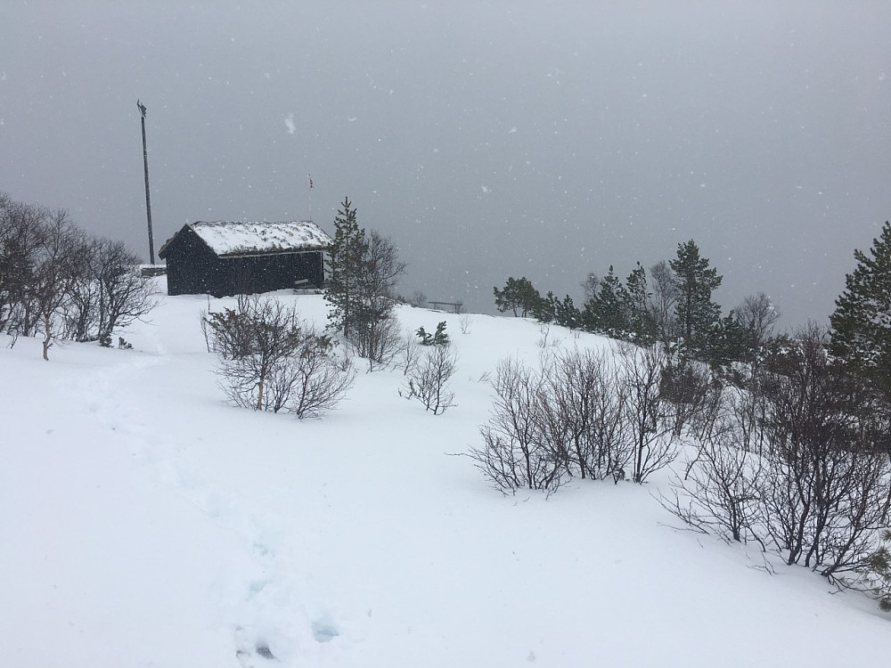 Snøvær.