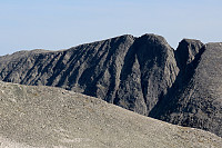 Hjellbønebba