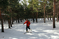 Bra skiføre i skogen oppover fra Hoya del Portillo.