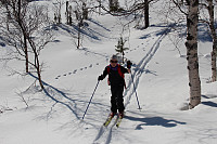 GeirI_20160315_56e7d286dbab2.jpg