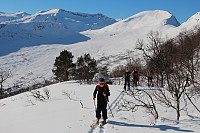 GeirI_20160318_56ebb21c509bf.jpg