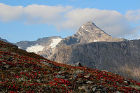 GeirI_20160923_57e4d188d3c51.jpg