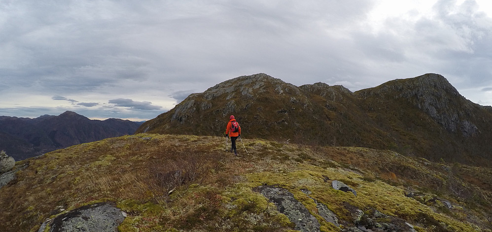 På Steinlihaugen. Høglinebba sine tre topper i bakgrunnen neste...