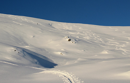 Som oftest er en ikke helt aleine på Urdfjellet.