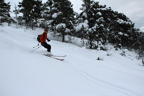 Leken snø i skogen.