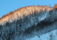 GeirI_20171210_5a2d4ddfb395b.jpg