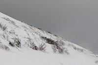 GeirI_20171222_5a3d2677e3ce8.jpg