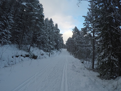 Nysnø og fint føre i lysløypa/skogen. Oppe i høgda var det for surt til å ta fram kamera.